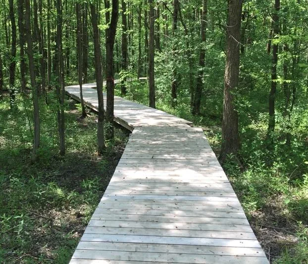 Passerelles en cèdre vers les quais