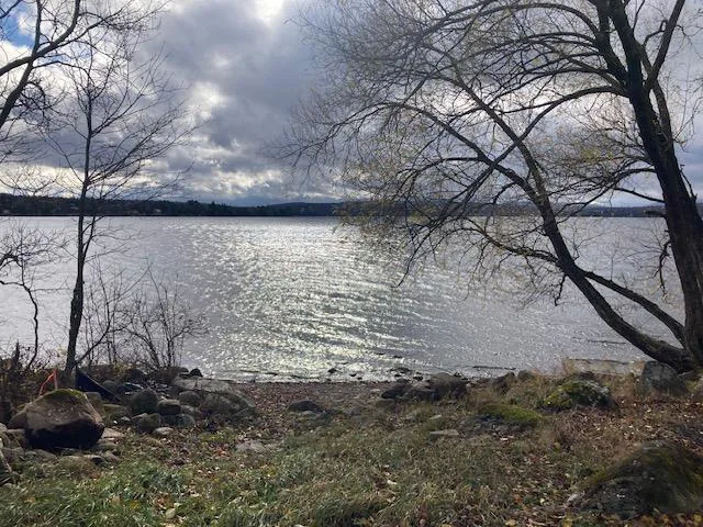 La rive du domaine au printemps